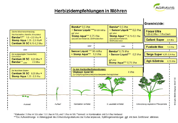 Herbizide Möhren